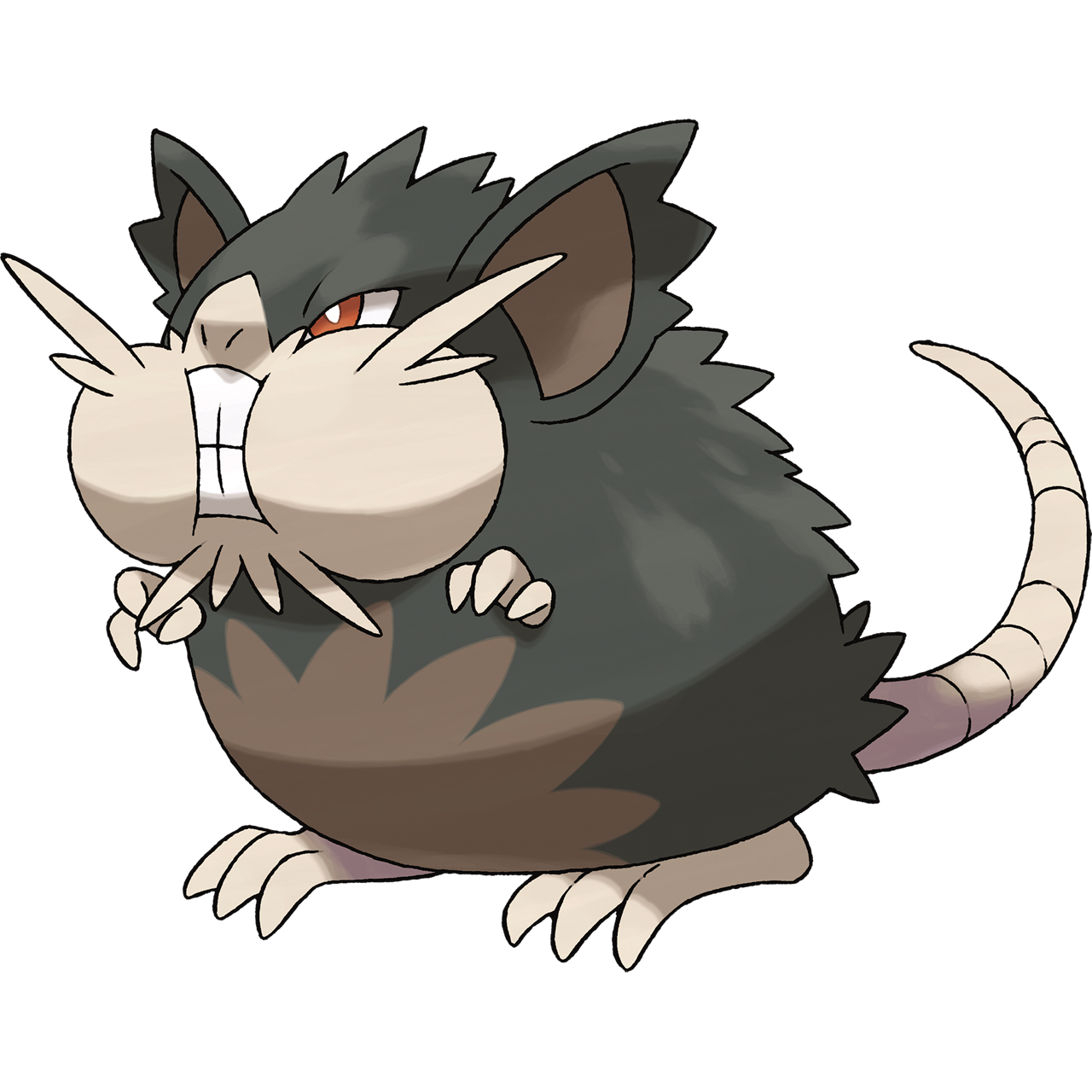 Raticate-alola